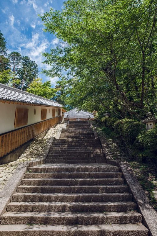 無料スマホ壁紙 丹生大師の階段から見上げる。AndroidとiPhoneに対応した4K高画質の無料待ち受け画像。三重県多気町の丹生大師（丹生山神宮寺）で撮影したフリー写真素材