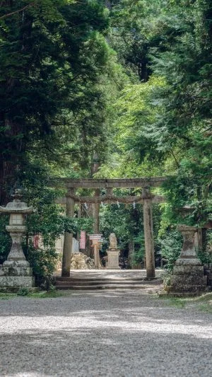 無料スマホ壁紙 新緑の鳥居の向こうに。AndroidとiPhoneに対応した4K高画質の無料待ち受け画像。三重県多気町の丹生大師（丹生山神宮寺）で撮影したフリー写真素材