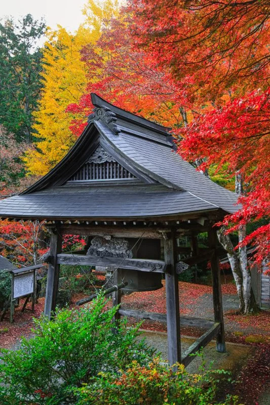 無料スマホ壁紙 紅葉グラデーション。AndroidとiPhoneに対応した4K高画質の無料待ち受け画像。三重県松阪市の天開山泰運寺で撮影したフリー写真素材