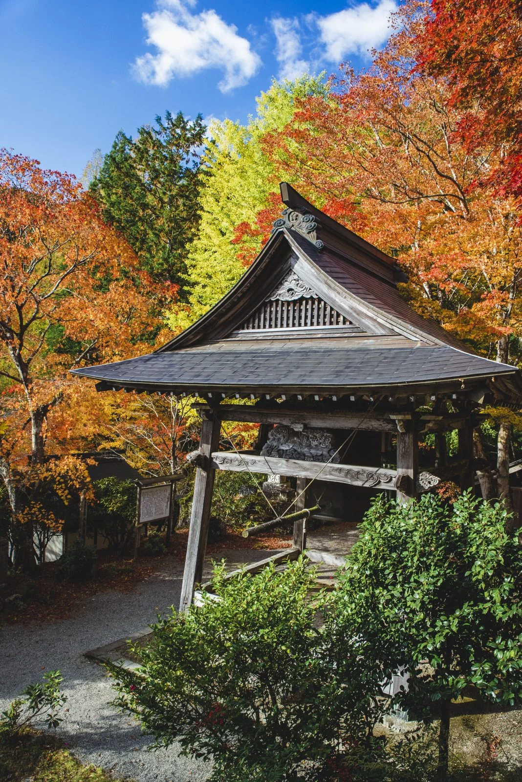 無料スマホ壁紙 銀杏と紅葉と八角銅鐘。AndroidとiPhoneに対応した4K高画質の無料待ち受け画像。三重県松阪市の天開山泰運寺で撮影したフリー写真素材