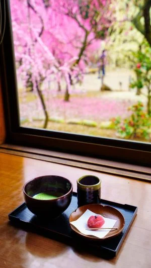 無料スマホ壁紙 眺梅亭からの眺め。AndroidとiPhoneに対応した4K高画質の無料待ち受け画像。三重県津市の結城神社の梅苑で撮影したフリー写真素材