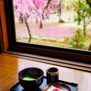 無料スマホ壁紙 眺梅亭からの眺め。AndroidとiPhoneに対応した4K高画質の無料待ち受け画像。三重県津市の結城神社の梅苑で撮影したフリー写真素材