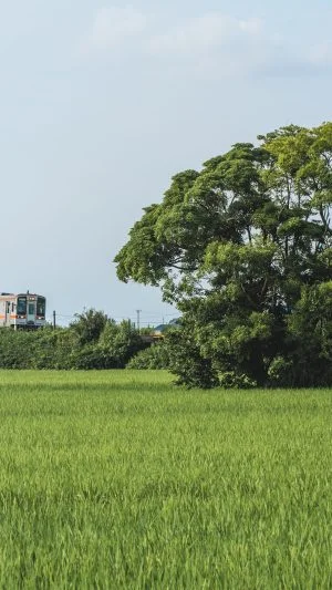 無料壁紙 名松線。PCとデスクトップ壁紙に最適な4K高画質の無料壁紙。三重県鉄道の名松線で撮影したフリー写真素材