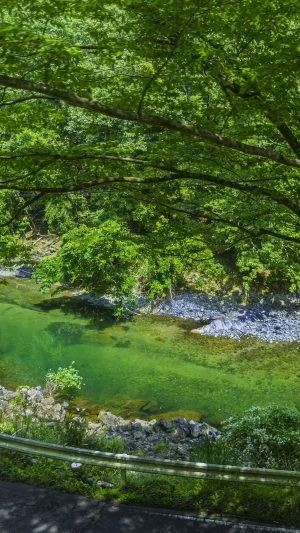 無料壁紙 車窓からの眺め（比津〜伊勢奥津駅）。PCとデスクトップ壁紙に最適な4K高画質の無料壁紙。三重県鉄道の名松線で撮影したフリー写真素材