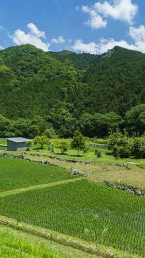 無料壁紙 車窓からの眺め（伊勢鎌倉駅周辺）。PCとデスクトップ壁紙に最適な4K高画質の無料壁紙。三重県鉄道の名松線で撮影したフリー写真素材