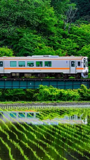 無料壁紙 家城の新緑リフレクション。PCとデスクトップ壁紙に最適な4K高画質の無料壁紙。三重県鉄道の名松線で撮影したフリー写真素材