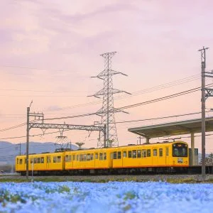 無料スマホ壁紙 夕焼け列車とネモフィラ畑。AndroidとiPhoneに対応した4K高画質の無料待ち受け画像。三重県いなべ市の大泉駅近くのネモフィラ畑で撮影したフリー写真素材