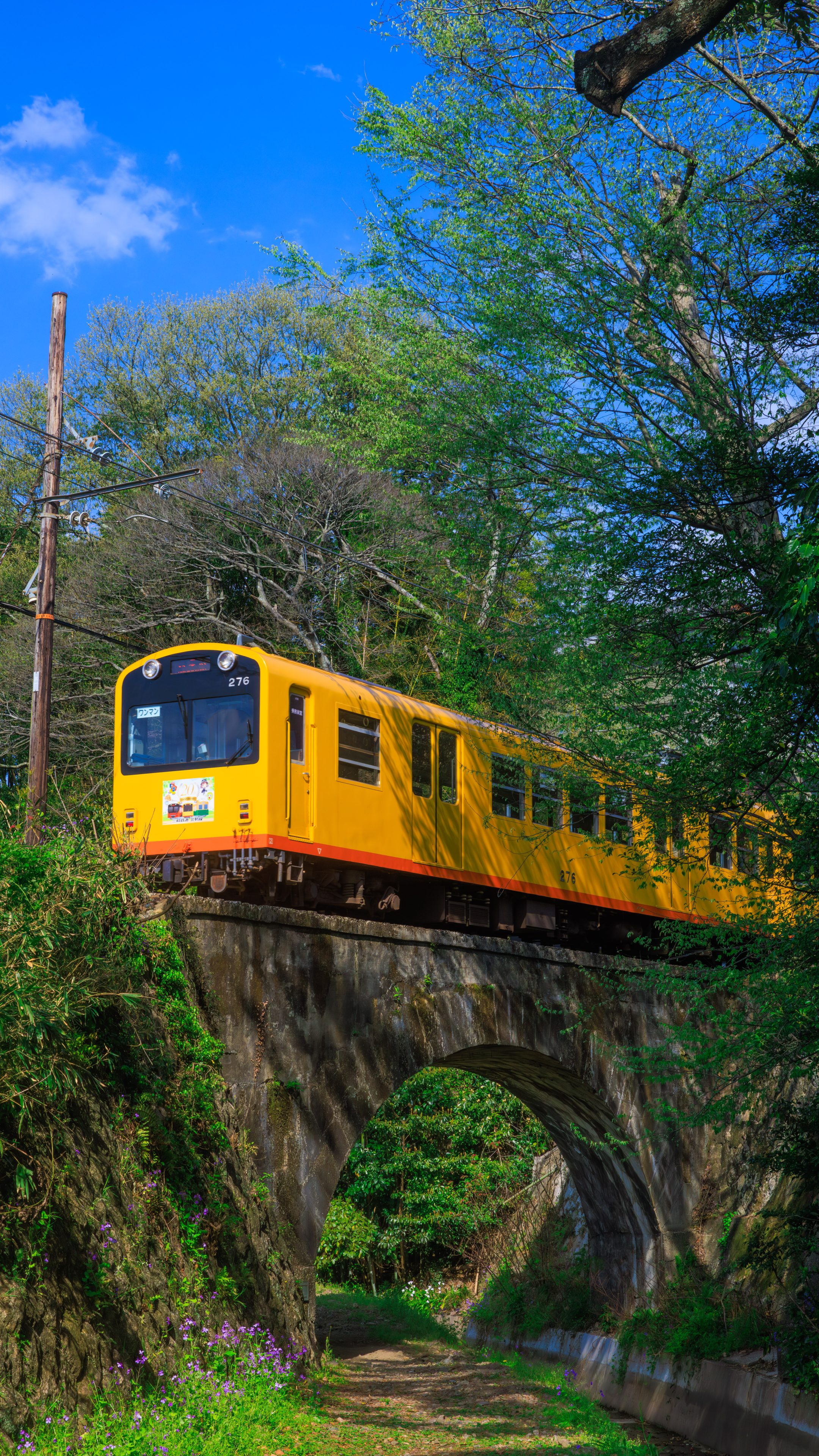 無料スマホ壁紙 ねじり橋を渡るイエロー車両。AndroidとiPhoneに対応した4K高画質の無料待ち受け画像。三重県鉄道の三岐鉄道北勢線で撮影したフリー写真素材