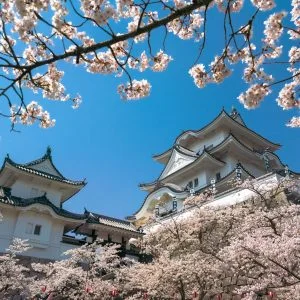 無料壁紙 伊賀上野城と桜。PCとデスクトップ壁紙に最適な4K高画質の無料壁紙。三重県伊賀市の伊賀上野城で撮影したフリー写真素材