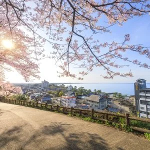 音無山のフリー写真素材