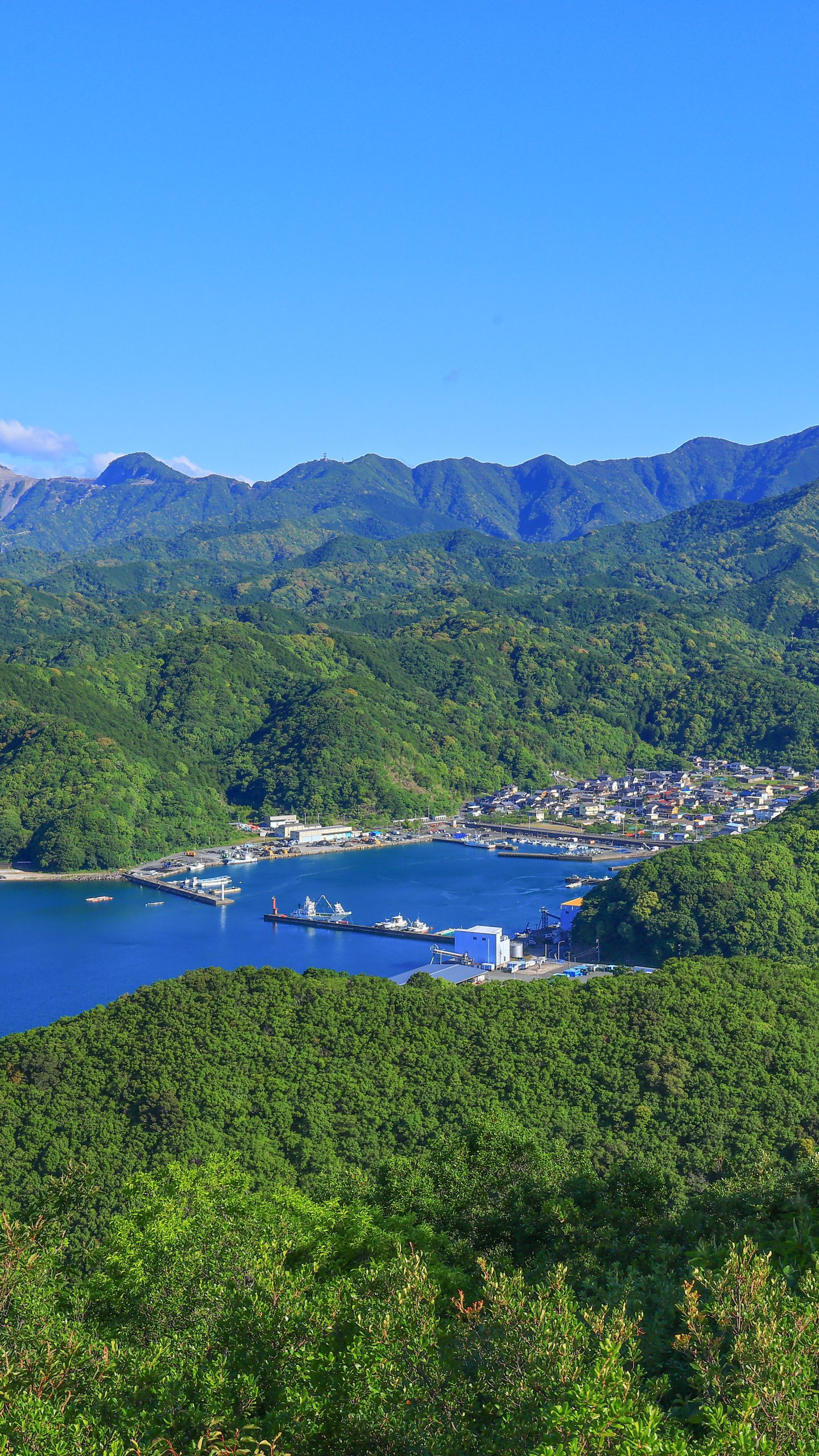 展望台から眺める奈屋浦漁港(三重県南伊勢町・たちばな展望台 天空のブランコ)