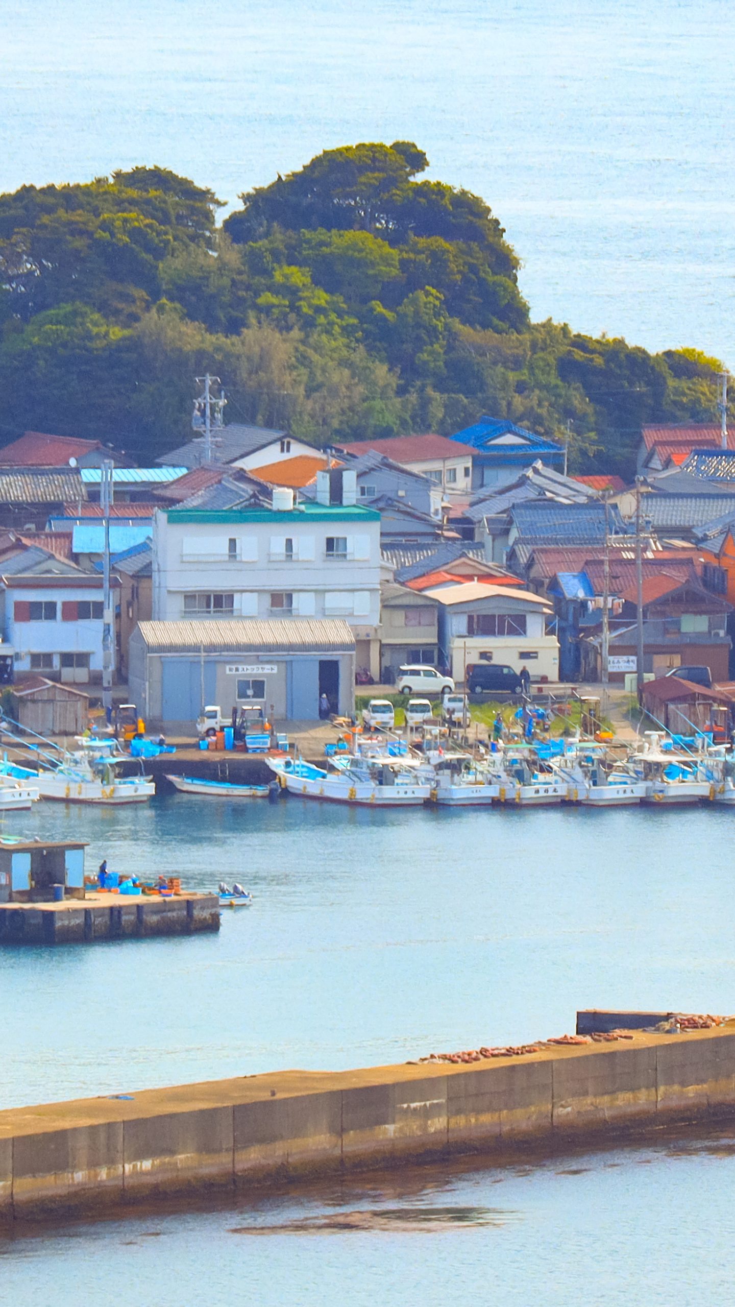 和具集落に立ち並ぶ船(三重県鳥羽市・答志島)