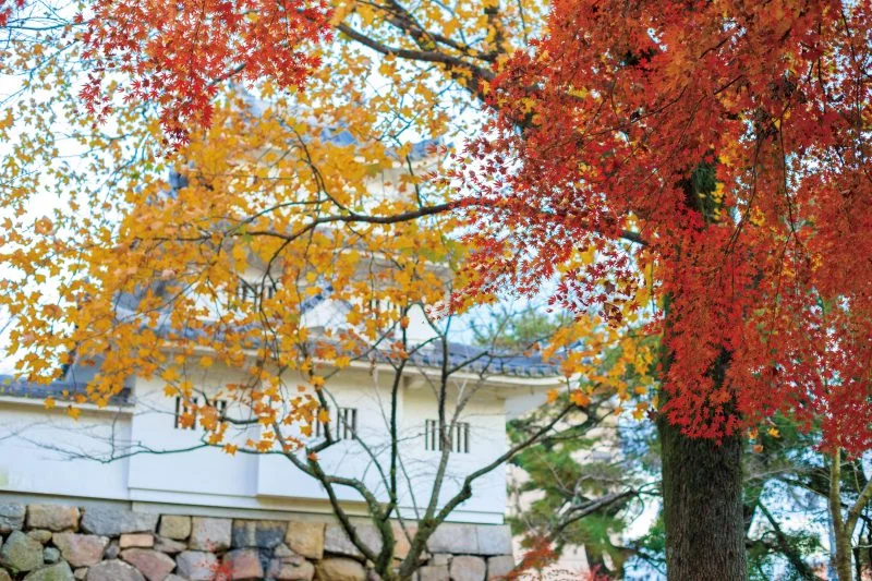 無料壁紙 津城の紅葉。PCとデスクトップ壁紙に最適な4K高画質の無料壁紙。三重県津市の津城（お城公園）で撮影したフリー写真素材