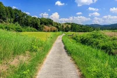 無料壁紙 棚田の遊歩道。PCとデスクトップ壁紙に最適な4K高画質の無料壁紙。三重県伊賀市の西山の棚田で撮影したフリー写真素材