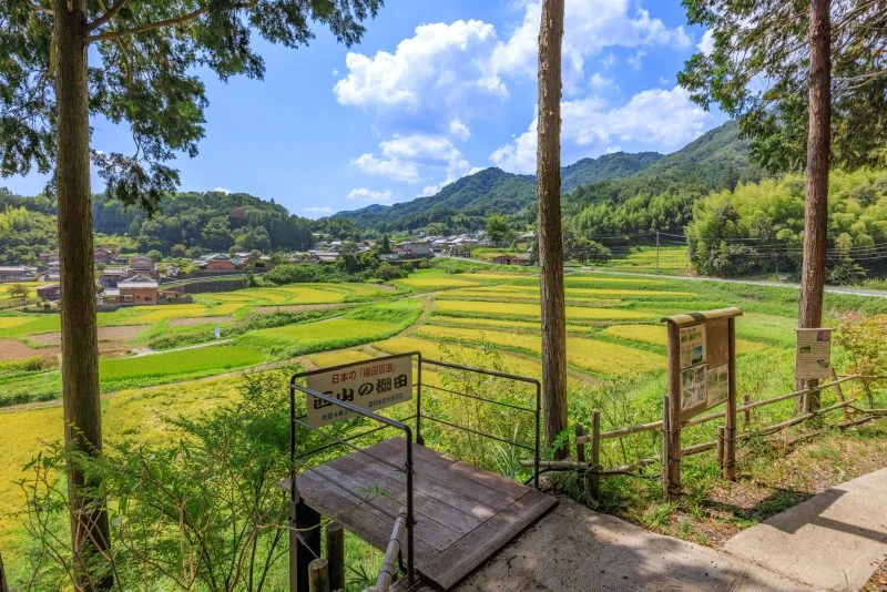 無料壁紙 展望台の周辺。PCとデスクトップ壁紙に最適な4K高画質の無料壁紙。三重県伊賀市の西山の棚田で撮影したフリー写真素材