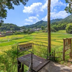 無料壁紙 展望台の周辺。PCとデスクトップ壁紙に最適な4K高画質の無料壁紙。三重県伊賀市の西山の棚田で撮影したフリー写真素材