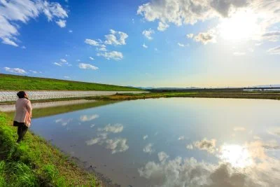 無料壁紙 田んぼリフレクション。PCとデスクトップ壁紙に最適な4K高画質の無料壁紙。三重県津市の津市木造町のポピー畑で撮影したフリー写真素材