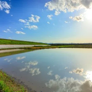 無料壁紙 田んぼリフレクション。PCとデスクトップ壁紙に最適な4K高画質の無料壁紙。三重県津市の津市木造町のポピー畑で撮影したフリー写真素材