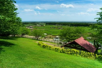 無料壁紙 緑美しい丘と茶畑。PCとデスクトップ壁紙に最適な4K高画質の無料壁紙。三重県四日市市の四日市ふれあい牧場で撮影したフリー写真素材