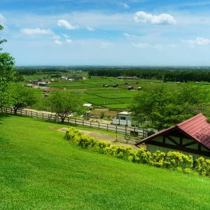 四日市ふれあい牧場のフリー素材・壁紙