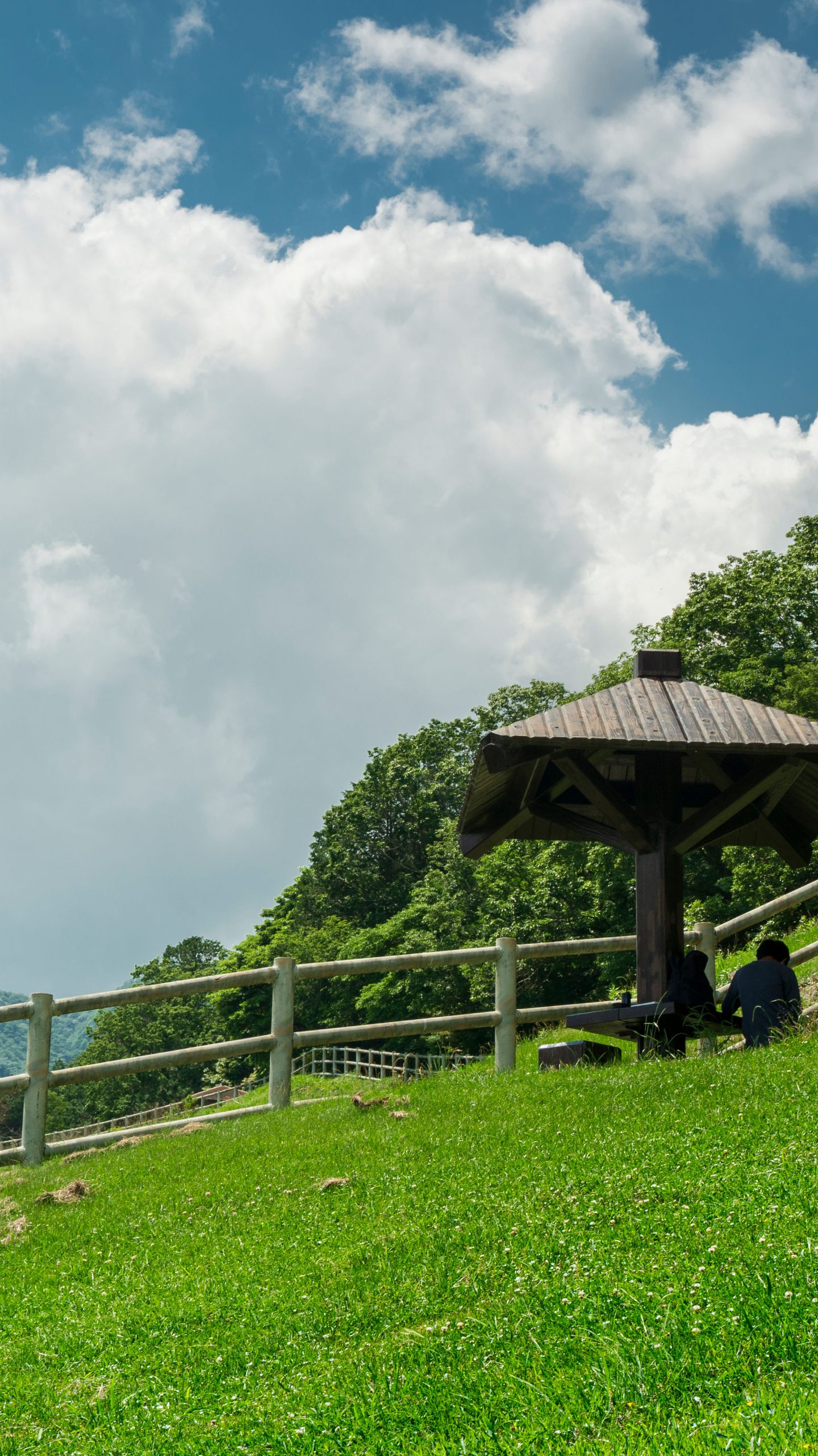 初夏の青空と牧場の丘(三重県四日市市・四日市ふれあい牧場)