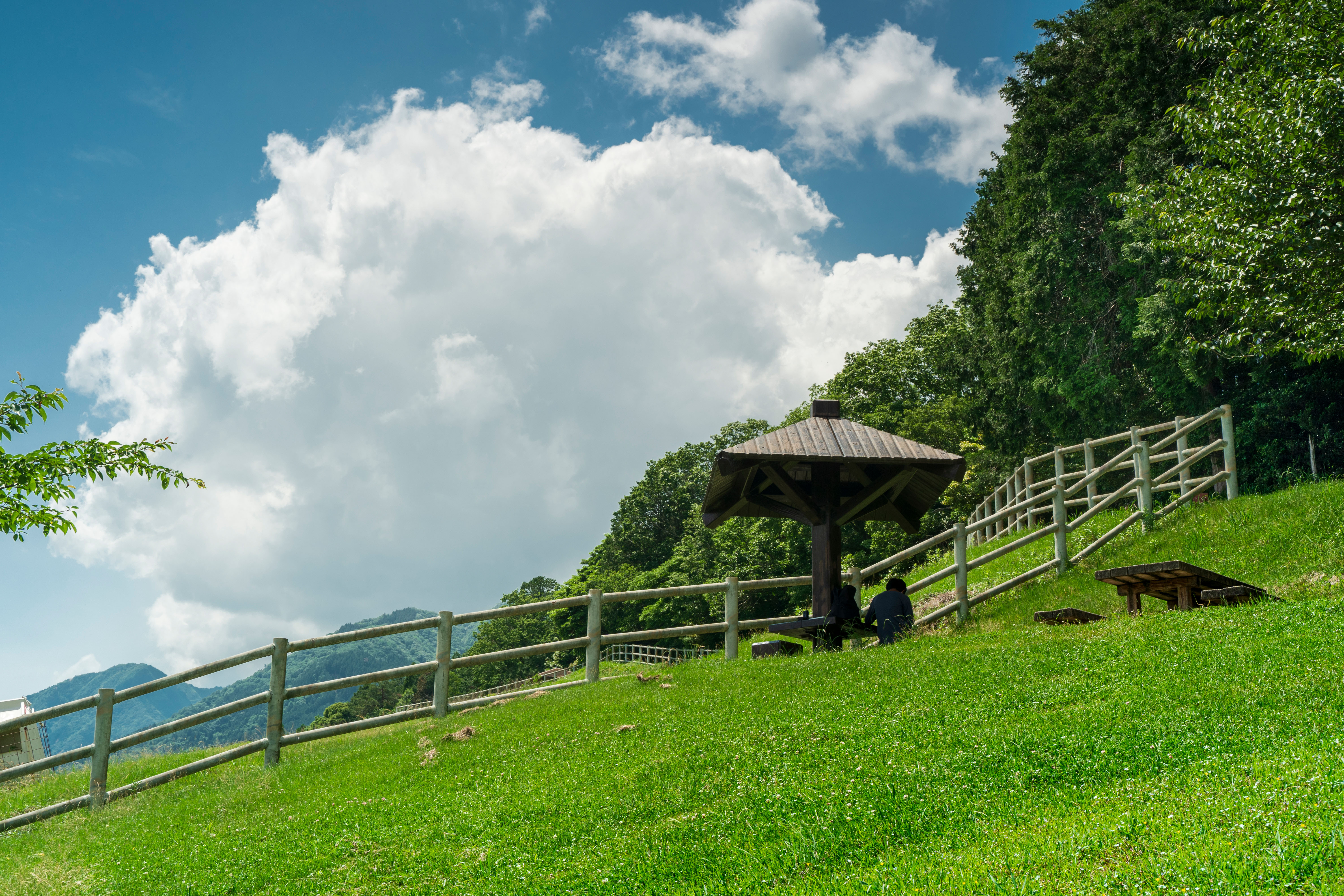 初夏の青空と牧場の丘(三重県四日市市・四日市ふれあい牧場)