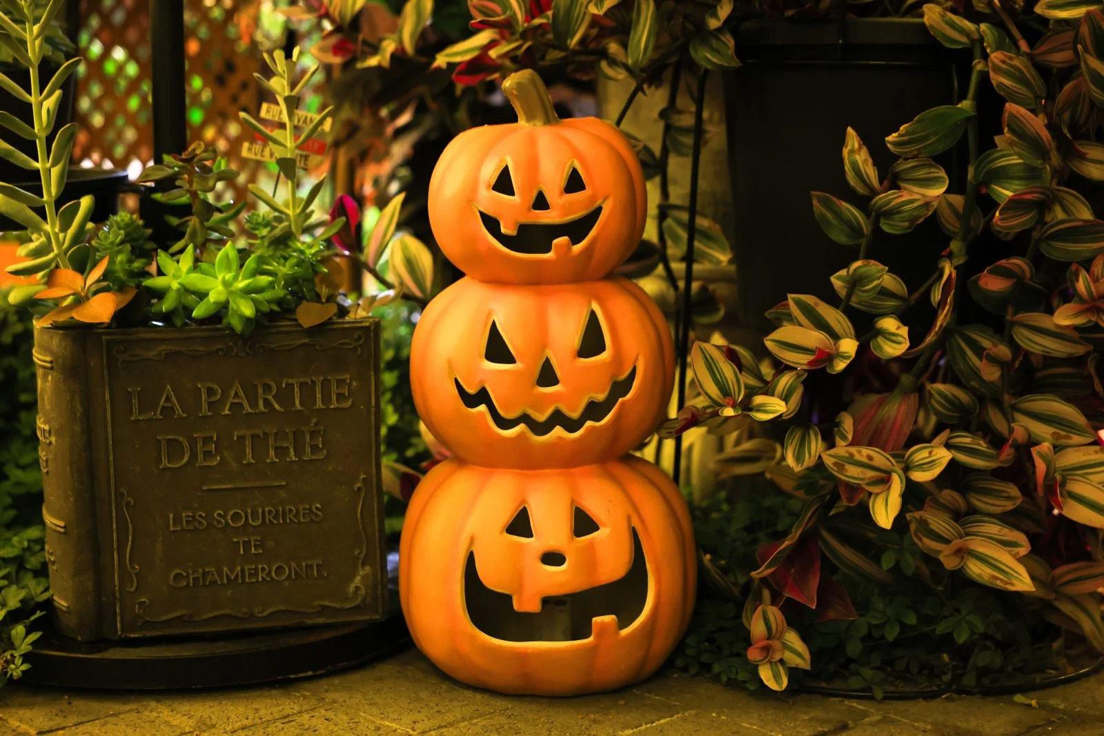 無料壁紙 こっちを見て微笑むハロウィンのカボチャ三兄弟。PCとデスクトップ壁紙に最適な4K高画質の無料壁紙。三重県桑名市のベゴニアガーデンで撮影したフリー写真素材