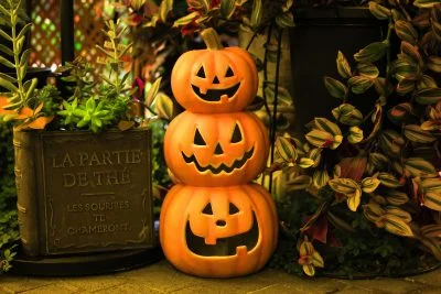 無料壁紙 こっちを見て微笑むハロウィンのカボチャ三兄弟。PCとデスクトップ壁紙に最適な4K高画質の無料壁紙。三重県桑名市のベゴニアガーデンで撮影したフリー写真素材