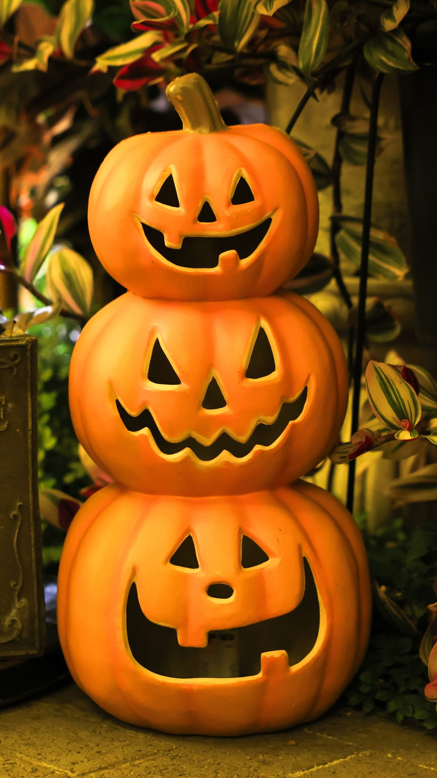 こっちを見て微笑むハロウィンのカボチャ三兄弟(三重県桑名市・ベゴニアガーデン)