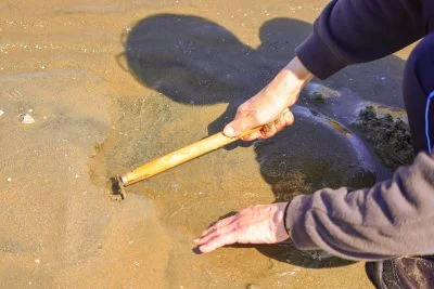 無料壁紙 クマデで潮干狩りをする様子。PCとデスクトップ壁紙に最適な4K高画質の無料壁紙。三重県津市の御殿場海岸で撮影したフリー写真素材