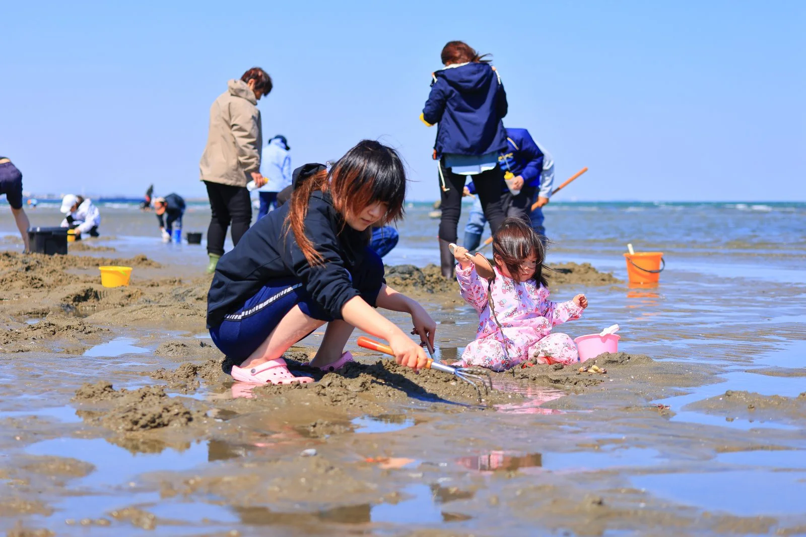 無料壁紙 潮干狩りに奮闘する親子。PCとデスクトップ壁紙に最適な4K高画質の無料壁紙。三重県津市の御殿場海岸で撮影したフリー写真素材