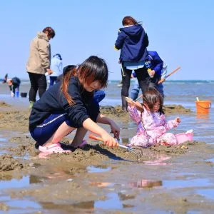 無料壁紙 潮干狩りに奮闘する親子。PCとデスクトップ壁紙に最適な4K高画質の無料壁紙。三重県津市の御殿場海岸で撮影したフリー写真素材