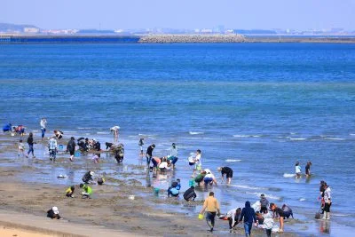 無料壁紙 潮干狩りで賑わう様子。PCとデスクトップ壁紙に最適な4K高画質の無料壁紙。三重県津市の御殿場海岸で撮影したフリー写真素材