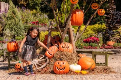 無料壁紙 エントランスのカボチャおばけ。PCとデスクトップ壁紙に最適な4K高画質の無料壁紙。三重県津市のレッドヒルヒーサーの森で撮影したフリー写真素材