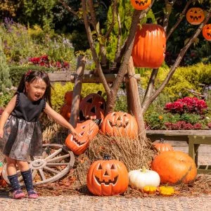 無料壁紙 エントランスのカボチャおばけ。PCとデスクトップ壁紙に最適な4K高画質の無料壁紙。三重県津市のレッドヒルヒーサーの森で撮影したフリー写真素材