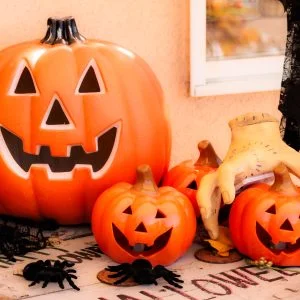 無料壁紙 カボチャのおばけ大集合。PCとデスクトップ壁紙に最適な4K高画質の無料壁紙。三重県津市のレッドヒルヒーサーの森で撮影したフリー写真素材