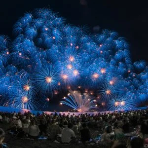 無料壁紙 青色の彩色千輪菊。PCとデスクトップ壁紙に最適な4K高画質の無料壁紙。三重県津市の津花火大会で撮影したフリー写真素材