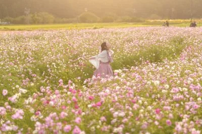 無料壁紙 畑の中央通路で人物撮影。PCとデスクトップ壁紙に最適な4K高画質の無料壁紙。三重県亀山市の関町のコスモス畑で撮影したフリー写真素材