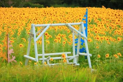 無料壁紙 名物の白いブランコ。PCとデスクトップ壁紙に最適な4K高画質の無料壁紙。三重県玉城町のアスピア玉城で撮影したフリー写真素材