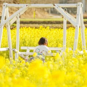 無料壁紙 ブランコに座る子供。PCとデスクトップ壁紙に最適な4K高画質の無料壁紙。三重県玉城町のアスピア玉城で撮影したフリー写真素材