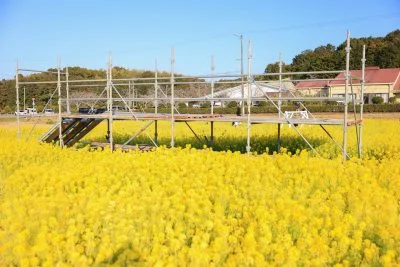 無料壁紙 お花の季節限定の見晴台。PCとデスクトップ壁紙に最適な4K高画質の無料壁紙。三重県玉城町のアスピア玉城で撮影したフリー写真素材