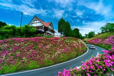 無料壁紙 青空とツツジウェーブ。PCとデスクトップ壁紙に最適な4K高画質の無料壁紙。三重県松阪市の道の駅 茶倉駅で撮影したフリー写真素材