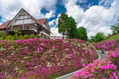 無料壁紙 ツツジロードを走る。PCとデスクトップ壁紙に最適な4K高画質の無料壁紙。三重県松阪市の道の駅 茶倉駅で撮影したフリー写真素材