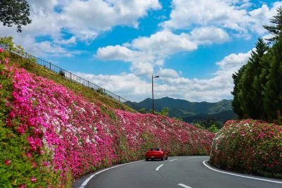 無料壁紙 初夏の花景色を駆け抜ける。PCとデスクトップ壁紙に最適な4K高画質の無料壁紙。三重県松阪市の道の駅 茶倉駅で撮影したフリー写真素材