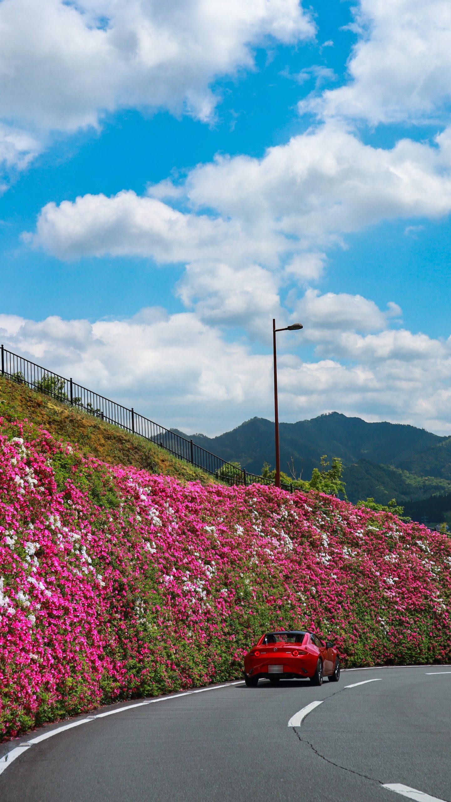 初夏の花景色を駆け抜ける(三重県松阪市・道の駅 茶倉駅)