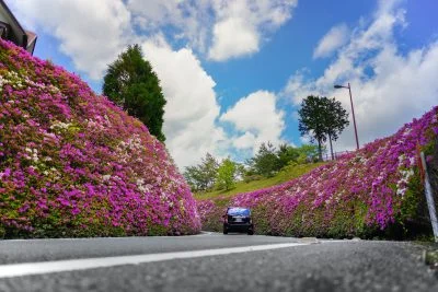 無料壁紙 ツツジドライブ。PCとデスクトップ壁紙に最適な4K高画質の無料壁紙。三重県松阪市の道の駅 茶倉駅で撮影したフリー写真素材