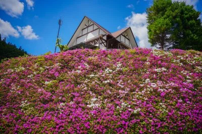 無料壁紙 ツツジの丘にある道の駅。PCとデスクトップ壁紙に最適な4K高画質の無料壁紙。三重県松阪市の道の駅 茶倉駅で撮影したフリー写真素材