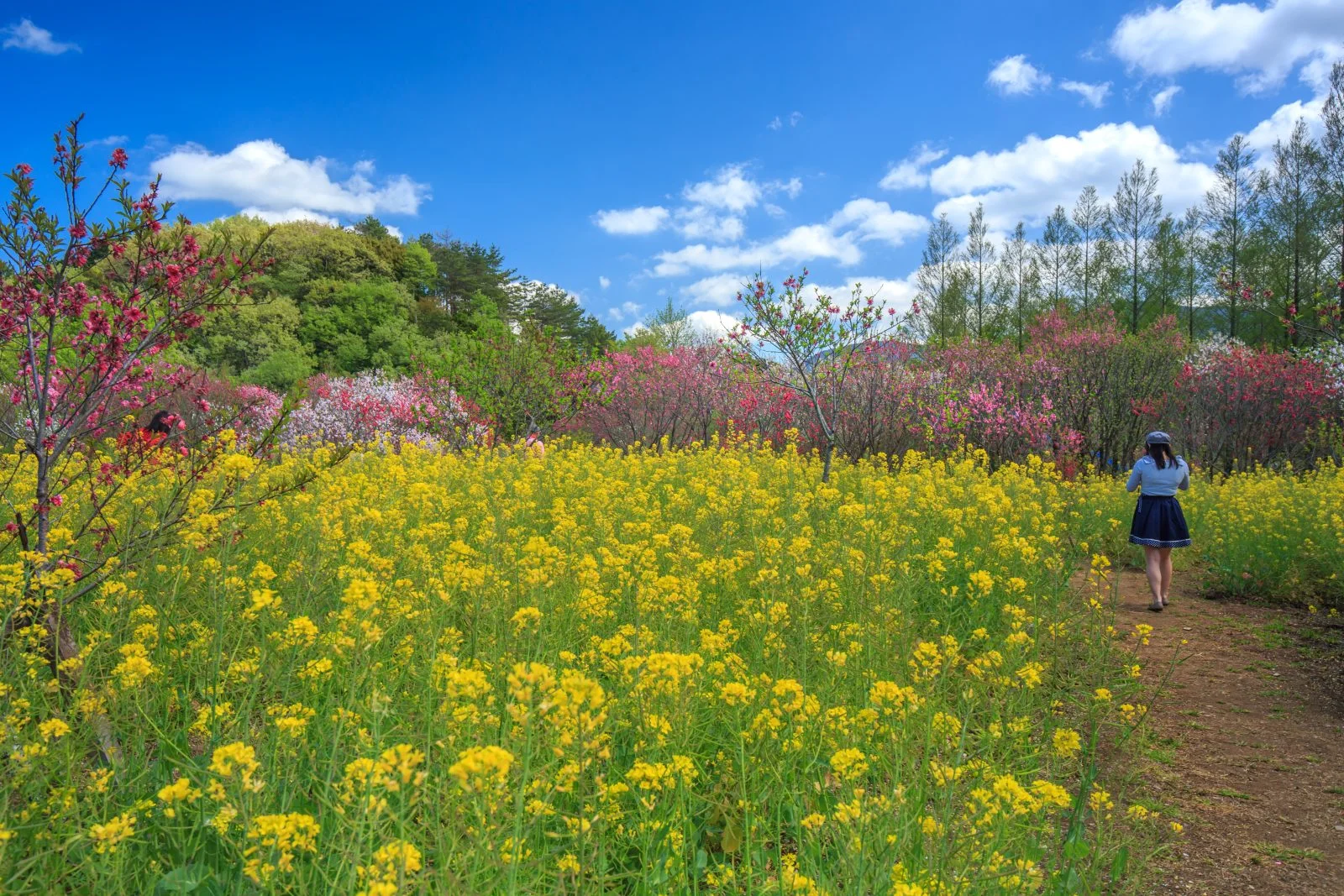 三重県営サンアリーナ 花の広場
