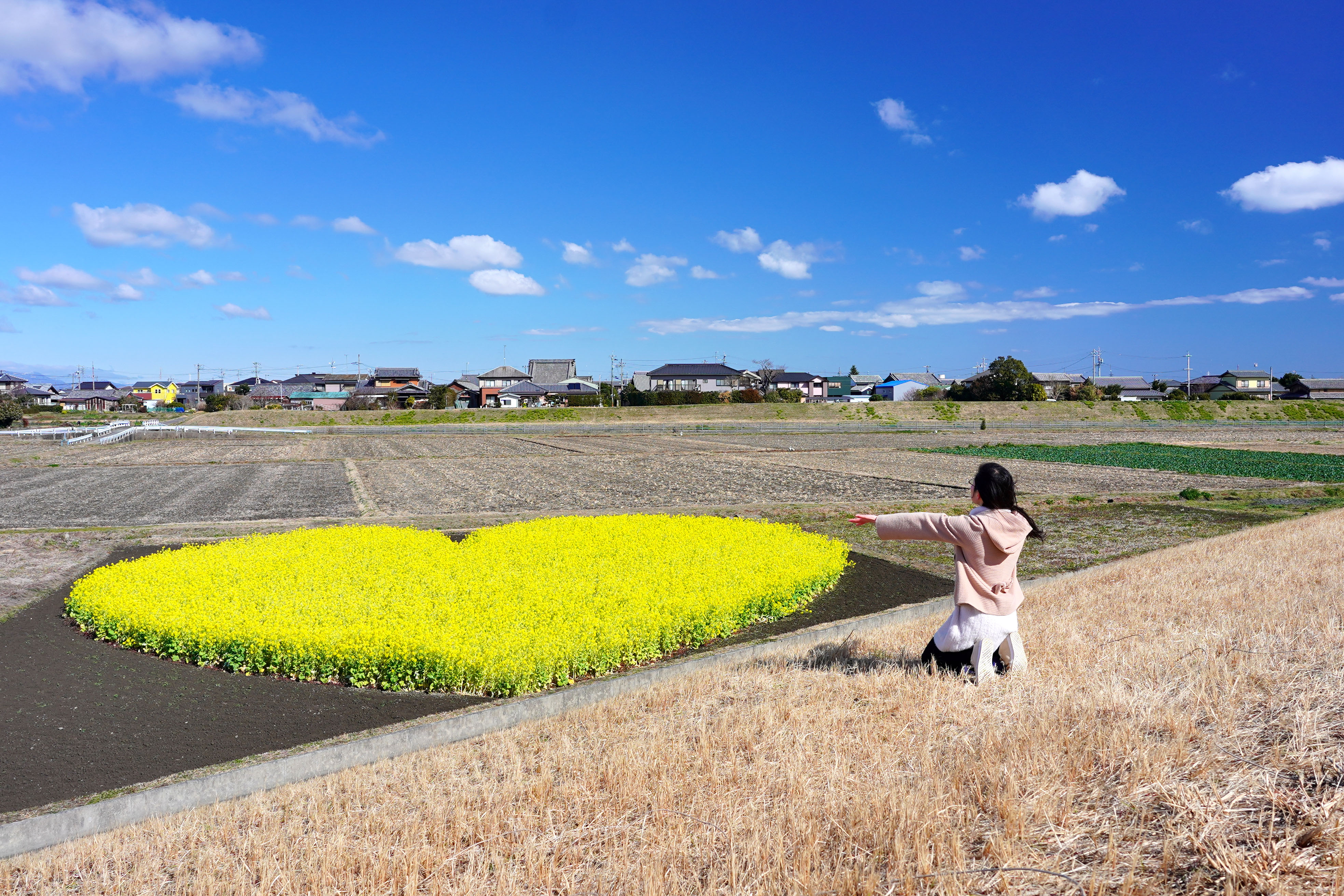 無料壁紙 ハートの菜の花畑に近づく。PCとデスクトップ壁紙に最適な4K高画質の無料壁紙。三重県津市のハートの菜の花畑で撮影したフリー写真素材