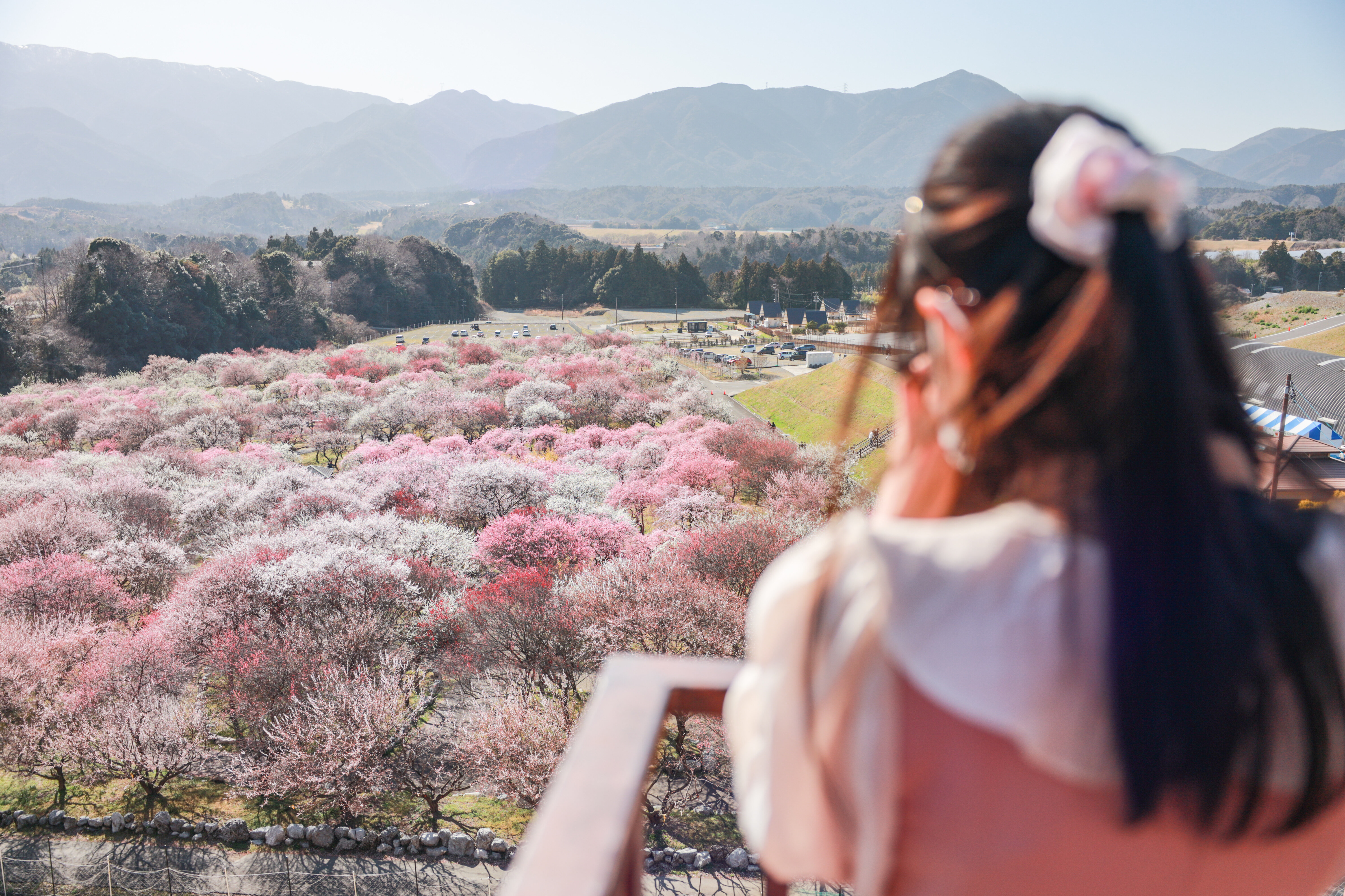 無料壁紙 展望台から眺める梅林公園。PCとデスクトップ壁紙に最適な4K高画質の無料壁紙。三重県いなべ市のいなべ市農業公園(梅林公園)で撮影したフリー写真素材